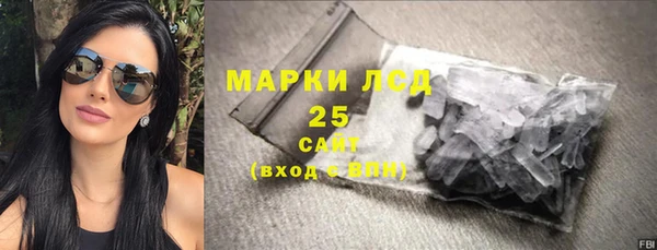 шишки Аркадак