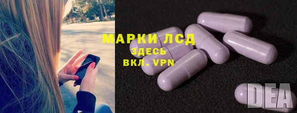 шишки Аркадак