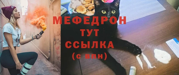 шишки Туринск