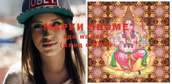 шишки Аркадак