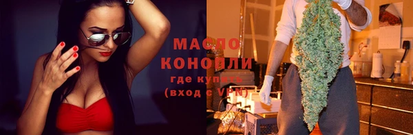 мдпв Богородск