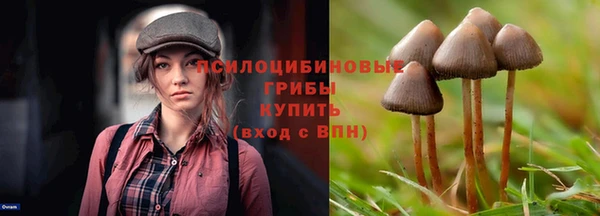 меф Арсеньев