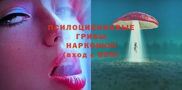 меф Арсеньев