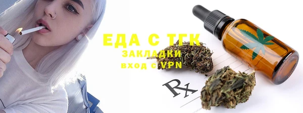 шишки Туринск