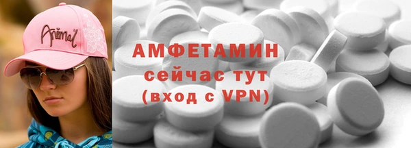 стаф Алзамай