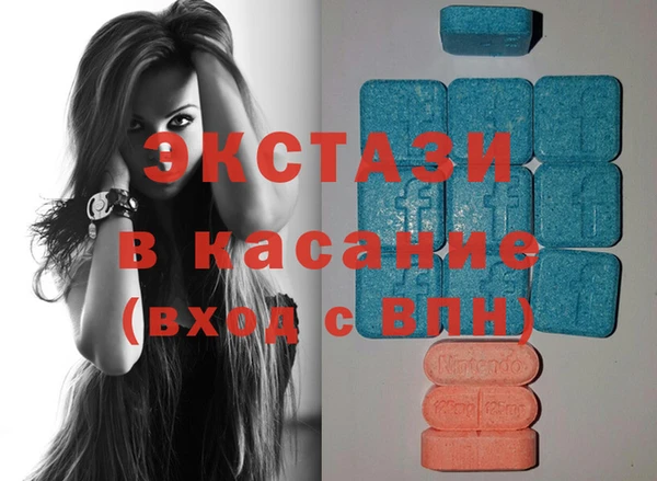 шишки Аркадак
