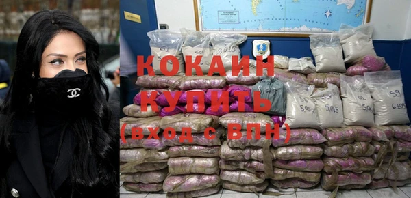 шишки Аркадак