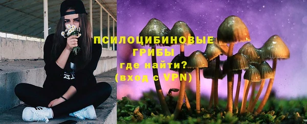 спайс Армянск