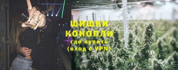 шишки Аркадак