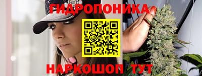 шишки Кудымкар