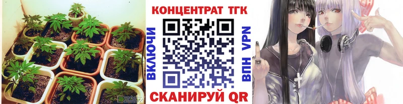 mega как войти Чайковский Дистиллят ТГК THC oil сколько стоит