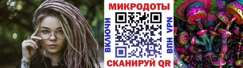 Галлюциногенные грибы Psilocybine cubensis  блэк спрут как зайти  Чайковский 
