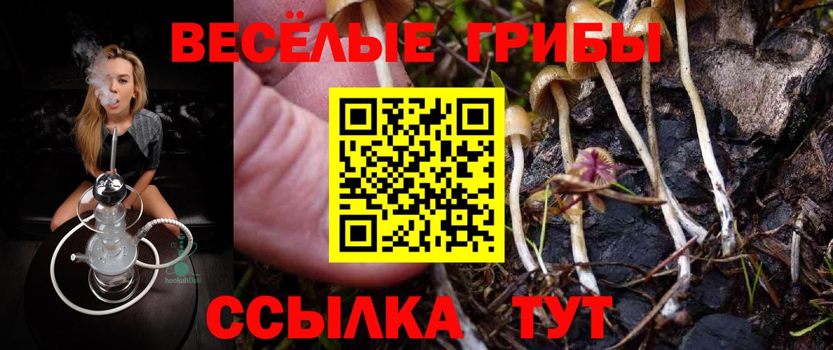 Псилоцибиновые грибы GOLDEN TEACHER Чайковский