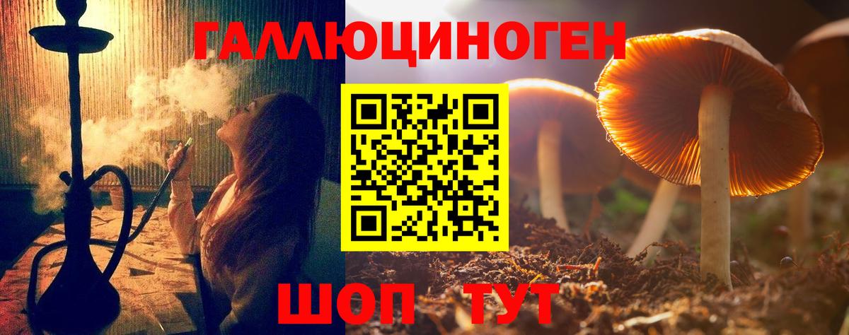 Галлюциногенные грибы Psilocybine cubensis  Вход с VPN  Чайковский 